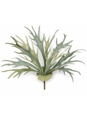 Staghorn Fern Artificial Fern Wall Mount